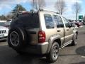 2006 Light Khaki Metallic Jeep Liberty Renegade 4x4  photo #4