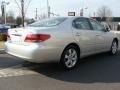 Classic Silver Metallic - ES 330 Photo No. 4