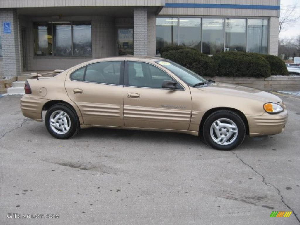 1999 Grand Am SE Sedan - Topaz Gold Metallic / Dark Taupe photo #5