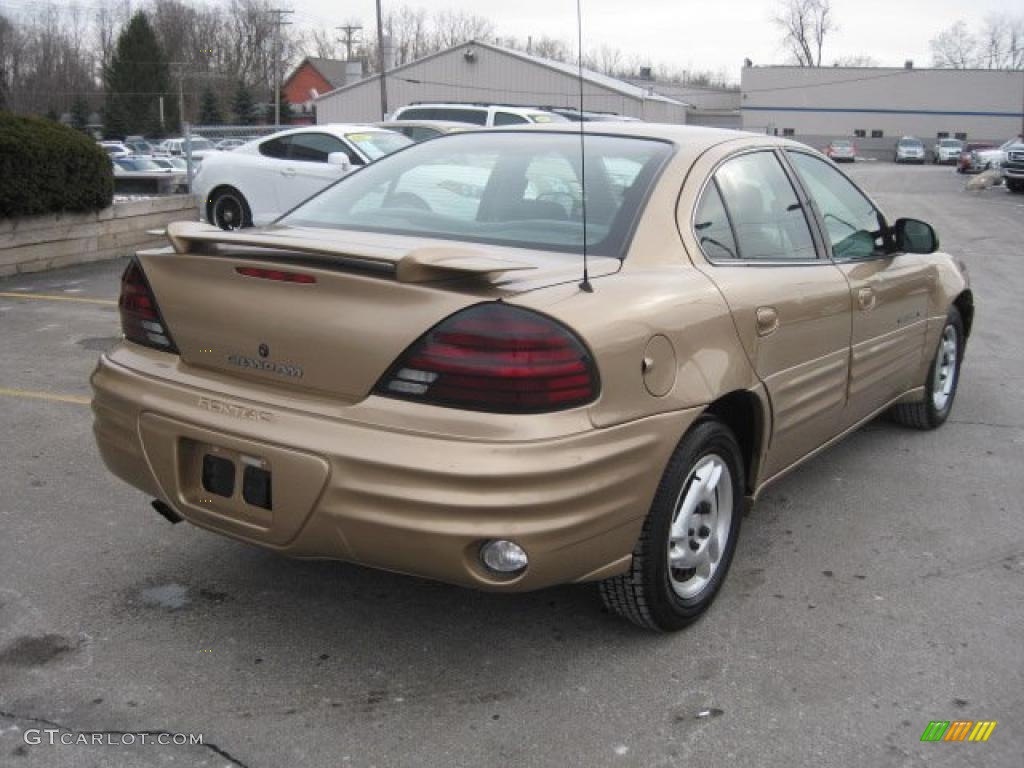 1999 Grand Am SE Sedan - Topaz Gold Metallic / Dark Taupe photo #7