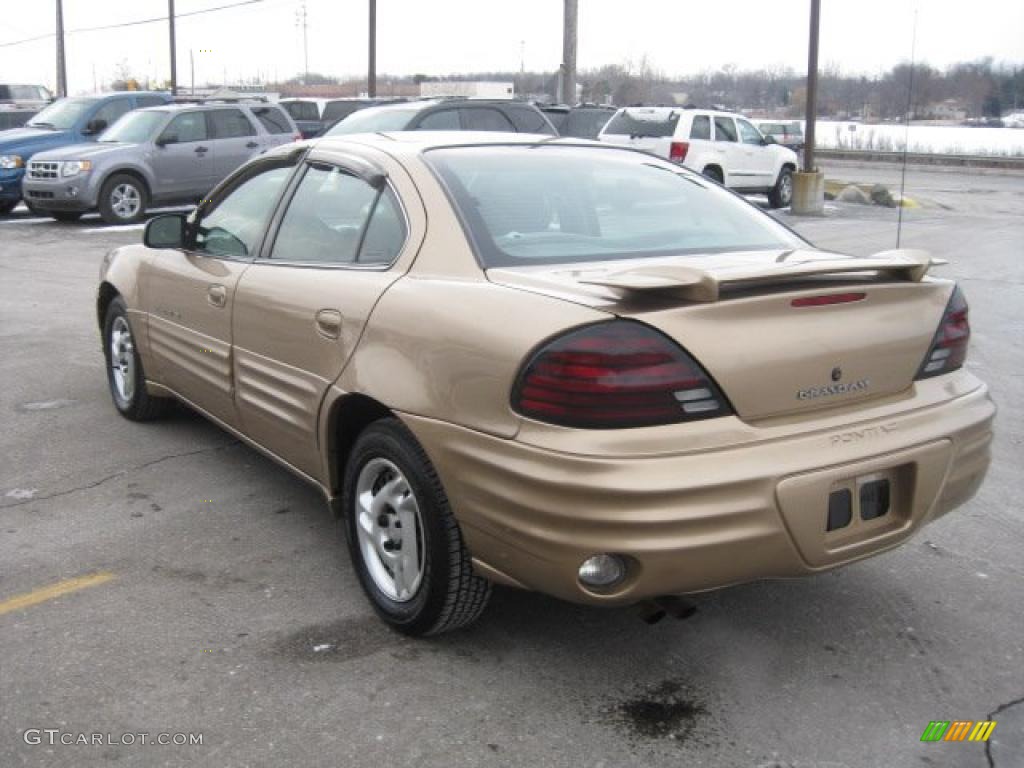 1999 Grand Am SE Sedan - Topaz Gold Metallic / Dark Taupe photo #9