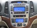 Beige Controls Photo for 2009 Hyundai Santa Fe #42467876