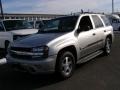 Silverstone Metallic - TrailBlazer LS 4x4 Photo No. 1