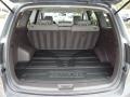 2010 Hyundai Santa Fe SE Trunk