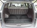 Gray Trunk Photo for 2010 Hyundai Santa Fe #42471072