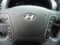 Gray Steering Wheel Photo for 2010 Hyundai Santa Fe #42471476