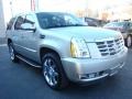 Quicksilver - Escalade AWD Photo No. 3