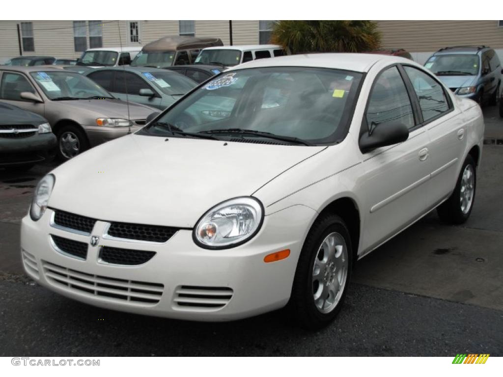 2004 Neon SXT - Stone White / Dark Slate Gray photo #6