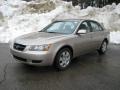 2008 Golden Beige Hyundai Sonata GLS  photo #8