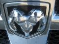 2010 Light Graystone Pearl Dodge Ram 1500 SLT Crew Cab  photo #25