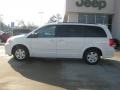 Stone White - Grand Caravan Express Photo No. 2