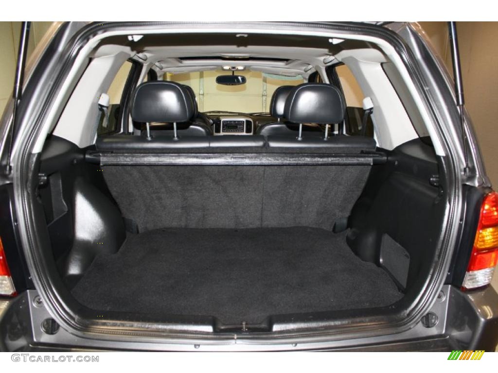 2004 Ford Escape Limited 4WD Trunk Photo #42478915