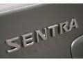 Magnetic Gray - Sentra 2.0 Photo No. 36