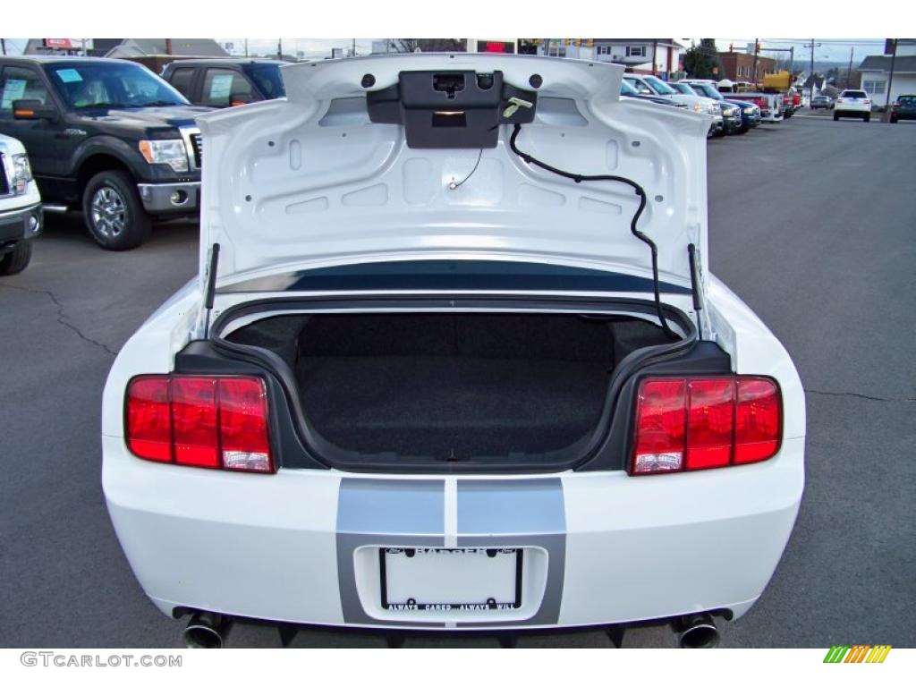 2007 Mustang Shelby GT Coupe - Performance White / Dark Charcoal photo #24