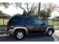 Dark Gray Metallic - TrailBlazer LTZ 4x4 Photo No. 10