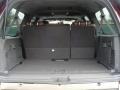 Chaparral Leather Trunk Photo for 2011 Ford Expedition #42493466