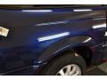 2002 Patriot Blue Pearlcoat Chrysler Town & Country LXi  photo #29