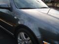 Platinum Grey Metallic - Jetta GLS 1.8T Sedan Photo No. 5