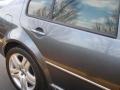 2004 Platinum Grey Metallic Volkswagen Jetta GLS 1.8T Sedan  photo #8