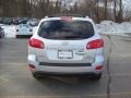 Bright Silver - Santa Fe SE 4WD Photo No. 20