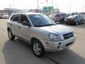 2007 Platinum Metallic Hyundai Tucson GLS  photo #9