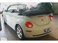 2010 Aquarius Blue/Campanella White Volkswagen New Beetle Final Edition Convertible  photo #2