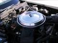 Beige - Corvette Coupe Photo No. 15
