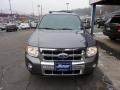 2010 Sterling Grey Metallic Ford Escape Limited V6 4WD  photo #4