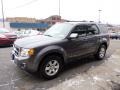 2010 Sterling Grey Metallic Ford Escape Limited V6 4WD  photo #5