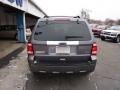 2010 Sterling Grey Metallic Ford Escape Limited V6 4WD  photo #9