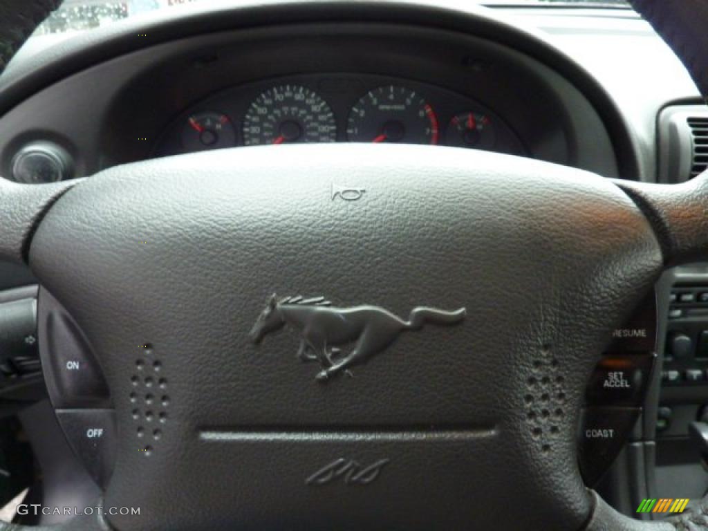 2004 Mustang GT Convertible - Dark Shadow Grey Metallic / Dark Charcoal photo #24