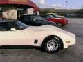 Beige - Corvette Coupe Photo No. 28