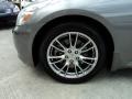 Platinum Graphite Gray - G 35 S Sport Sedan Photo No. 11