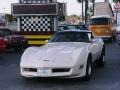 Beige - Corvette Coupe Photo No. 31
