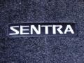 Magnetic Gray - Sentra 2.0 Photo No. 13