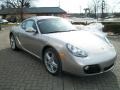 Platinum Silver Metallic - Cayman  Photo No. 3