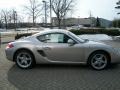 Platinum Silver Metallic - Cayman  Photo No. 4