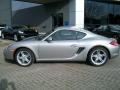 Platinum Silver Metallic - Cayman  Photo No. 8