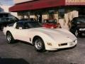 Beige - Corvette Coupe Photo No. 33