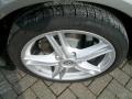 Platinum Silver Metallic - Cayman  Photo No. 30