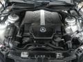 4.3 Liter SOHC 24-Valve V8 Engine for 2003 Mercedes-Benz S 430 4Matic Sedan #42529945