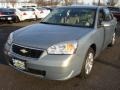 2007 Golden Pewter Metallic Chevrolet Malibu LT Sedan  photo #1