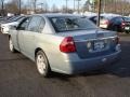 2007 Golden Pewter Metallic Chevrolet Malibu LT Sedan  photo #6