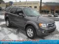 2011 Sterling Grey Metallic Ford Escape XLT 4WD  photo #1