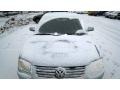 Satin Silver Metallic - Passat GLX Sedan Photo No. 4