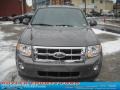 2011 Sterling Grey Metallic Ford Escape XLT 4WD  photo #20