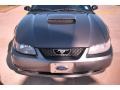 2004 Dark Shadow Grey Metallic Ford Mustang GT Coupe  photo #7