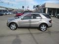 Sand Beige Metallic - ML 350 4Matic Photo No. 2