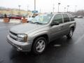 2007 Graphite Metallic Chevrolet TrailBlazer LS 4x4  photo #3