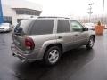 2007 Graphite Metallic Chevrolet TrailBlazer LS 4x4  photo #10